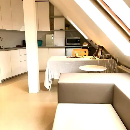 Olympic Games_rooftop-studio With Vue, 30m2, 9th 아파트
